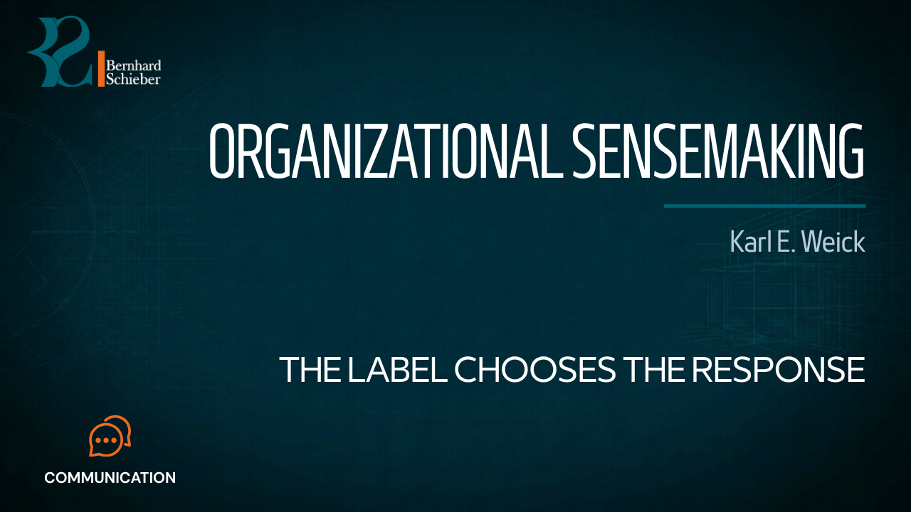 Organizational Sensemaking — The label chooses the response. Executive Insight Brief 016 by Bernhard Schieber.