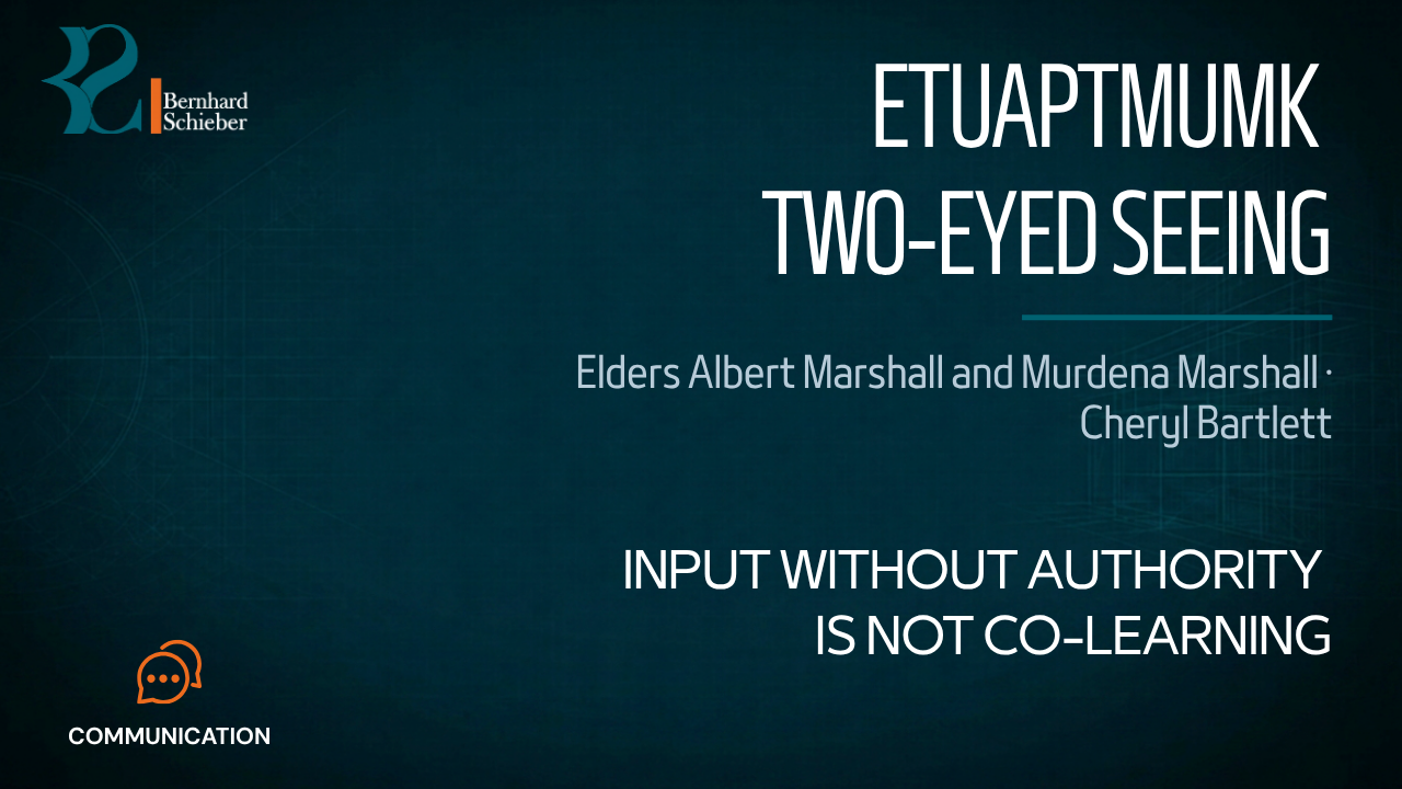 Etuaptmumk / Two-Eyed Seeing — Input without authority is not co-learning. Executive Insight Brief 238 by Bernhard Schieber.