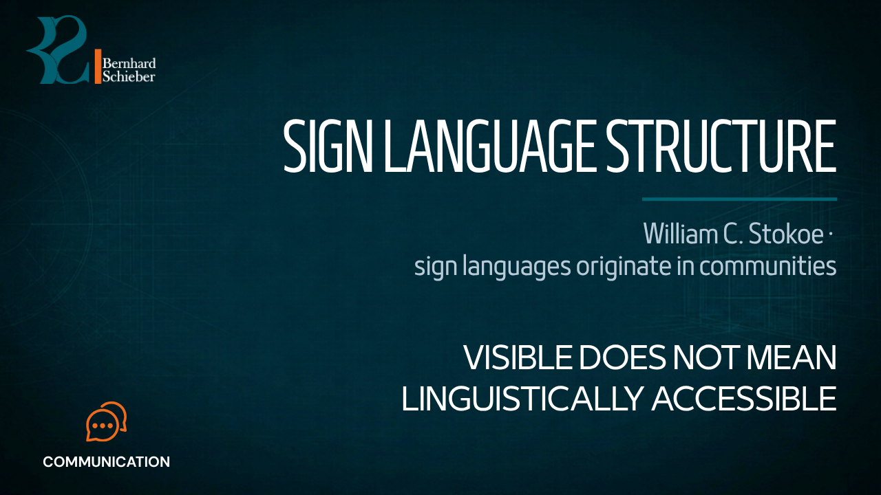 Sign Language Structure — Visible does not mean linguistically accessible. Executive Insight Brief 280 by Bernhard Schieber.
